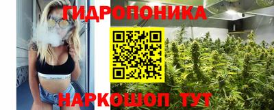 spice Камышлов
