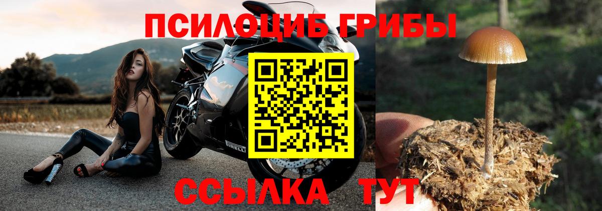 Псилоцибиновые грибы ЛСД  Псилоцибиновые грибы Magic Shrooms  Краснознаменск  Вход с VPN 